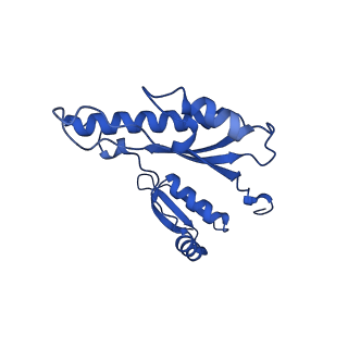 15702_8axn_g_v1-1
Inner membrane ring and secretin N0 N1 domains of the type 3 secretion system of Shigella flexneri