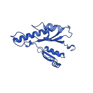 15702_8axn_h_v1-1
Inner membrane ring and secretin N0 N1 domains of the type 3 secretion system of Shigella flexneri