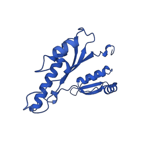 15702_8axn_k_v1-1
Inner membrane ring and secretin N0 N1 domains of the type 3 secretion system of Shigella flexneri