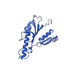 15702_8axn_l_v1-1
Inner membrane ring and secretin N0 N1 domains of the type 3 secretion system of Shigella flexneri