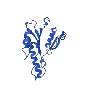 15702_8axn_n_v1-1
Inner membrane ring and secretin N0 N1 domains of the type 3 secretion system of Shigella flexneri