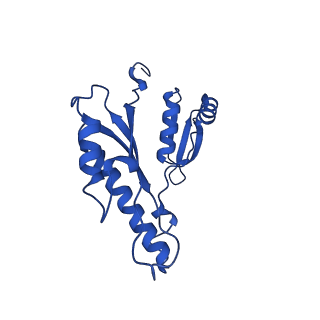 15702_8axn_o_v1-1
Inner membrane ring and secretin N0 N1 domains of the type 3 secretion system of Shigella flexneri