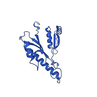 15702_8axn_p_v1-1
Inner membrane ring and secretin N0 N1 domains of the type 3 secretion system of Shigella flexneri