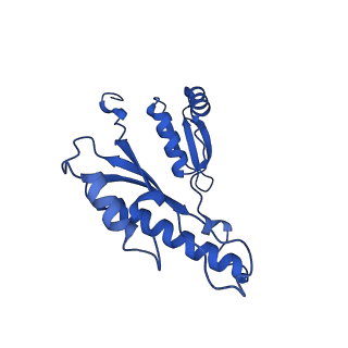15702_8axn_q_v1-1
Inner membrane ring and secretin N0 N1 domains of the type 3 secretion system of Shigella flexneri