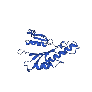 15702_8axn_u_v1-1
Inner membrane ring and secretin N0 N1 domains of the type 3 secretion system of Shigella flexneri