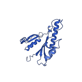 15702_8axn_v_v1-1
Inner membrane ring and secretin N0 N1 domains of the type 3 secretion system of Shigella flexneri