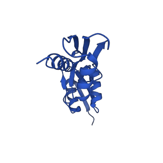 15702_8axn_y_v1-1
Inner membrane ring and secretin N0 N1 domains of the type 3 secretion system of Shigella flexneri