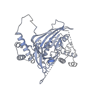 15704_8axv_A_v1-0
Structure of an open form of CHIKV nsP1 capping pores