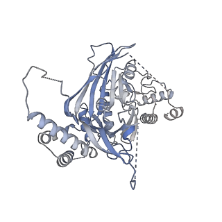 15704_8axv_B_v1-0
Structure of an open form of CHIKV nsP1 capping pores
