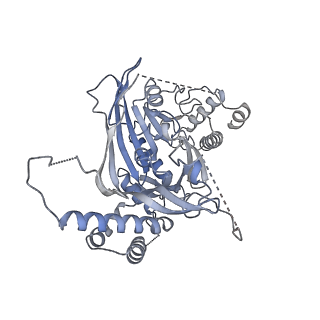15704_8axv_C_v1-0
Structure of an open form of CHIKV nsP1 capping pores