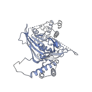 15704_8axv_D_v1-0
Structure of an open form of CHIKV nsP1 capping pores