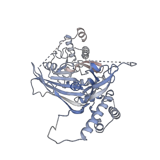 15704_8axv_E_v1-0
Structure of an open form of CHIKV nsP1 capping pores