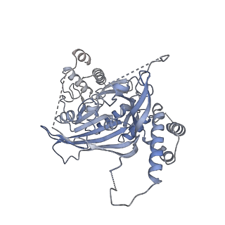 15704_8axv_F_v1-0
Structure of an open form of CHIKV nsP1 capping pores