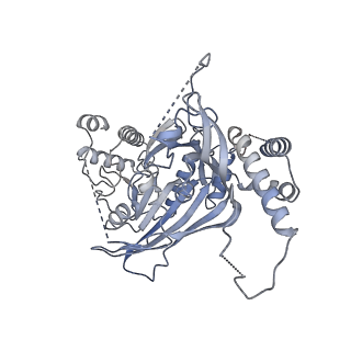 15704_8axv_G_v1-0
Structure of an open form of CHIKV nsP1 capping pores