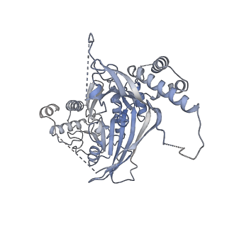 15704_8axv_H_v1-0
Structure of an open form of CHIKV nsP1 capping pores
