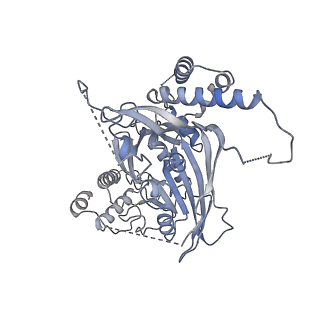 15704_8axv_I_v1-0
Structure of an open form of CHIKV nsP1 capping pores