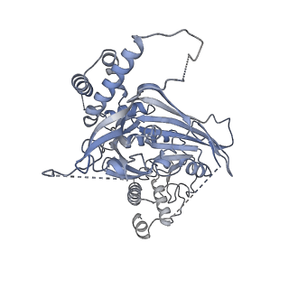 15704_8axv_K_v1-0
Structure of an open form of CHIKV nsP1 capping pores