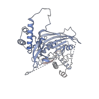 15704_8axv_L_v1-0
Structure of an open form of CHIKV nsP1 capping pores
