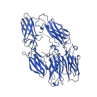 15713_8ayh_C_v1-0
Structure of Complement C5 in Complex with small molecule inhibitor and CVF