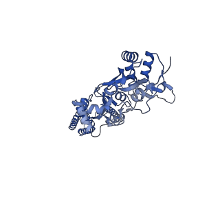 15714_8ayl_A_v1-1
Resting state GluA1/A2 AMPA receptor in complex with TARP gamma 8 and ligand JNJ-61432059