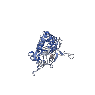 15714_8ayl_D_v1-1
Resting state GluA1/A2 AMPA receptor in complex with TARP gamma 8 and ligand JNJ-61432059