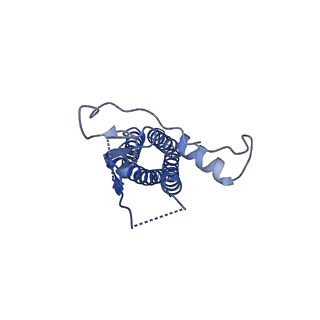 15714_8ayl_I_v1-1
Resting state GluA1/A2 AMPA receptor in complex with TARP gamma 8 and ligand JNJ-61432059