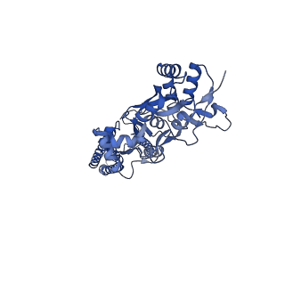 15716_8aym_A_v1-0
Resting state GluA1/A2 AMPA receptor in complex with TARP gamma 8 and ligand JNJ-55511118