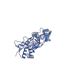 15716_8aym_C_v1-0
Resting state GluA1/A2 AMPA receptor in complex with TARP gamma 8 and ligand JNJ-55511118