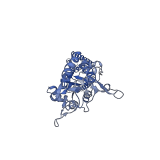 15716_8aym_D_v1-0
Resting state GluA1/A2 AMPA receptor in complex with TARP gamma 8 and ligand JNJ-55511118