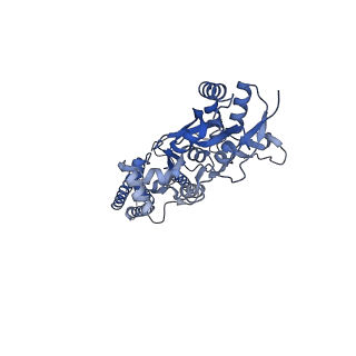 15717_8ayn_A_v1-0
Resting state GluA1/A2 AMPA receptor in complex with TARP gamma 8 and ligand LY3130481