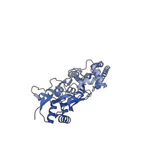 15717_8ayn_C_v1-0
Resting state GluA1/A2 AMPA receptor in complex with TARP gamma 8 and ligand LY3130481