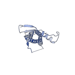 15717_8ayn_I_v1-0
Resting state GluA1/A2 AMPA receptor in complex with TARP gamma 8 and ligand LY3130481