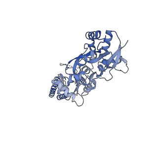 15718_8ayo_A_v1-0
Open state GluA1/A2 AMPA receptor in complex with TARP gamma 8 and ligand JNJ-61432059