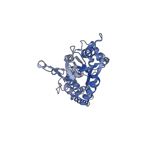 15718_8ayo_B_v1-0
Open state GluA1/A2 AMPA receptor in complex with TARP gamma 8 and ligand JNJ-61432059