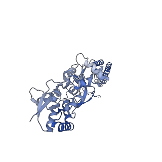 15718_8ayo_C_v1-0
Open state GluA1/A2 AMPA receptor in complex with TARP gamma 8 and ligand JNJ-61432059