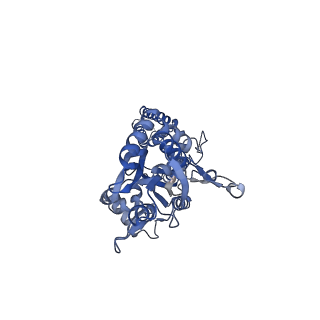 15718_8ayo_D_v1-0
Open state GluA1/A2 AMPA receptor in complex with TARP gamma 8 and ligand JNJ-61432059