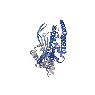 7018_6aye_A_v1-5
Human apo-TRPML3 channel at pH 7.4