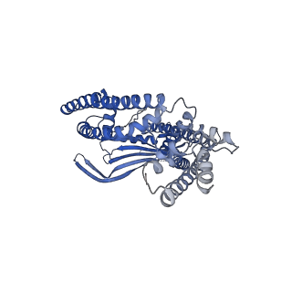 7019_6ayf_B_v1-6
TRPML3/ML-SA1 complex at pH 7.4