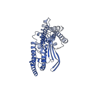 7019_6ayf_C_v1-6
TRPML3/ML-SA1 complex at pH 7.4