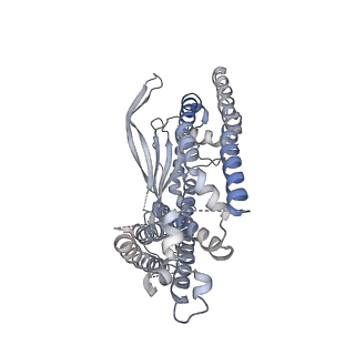 7020_6ayg_A_v1-5
Human Apo-TRPML3 channel at pH 4.8