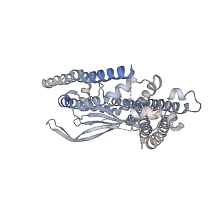 7020_6ayg_B_v1-5
Human Apo-TRPML3 channel at pH 4.8