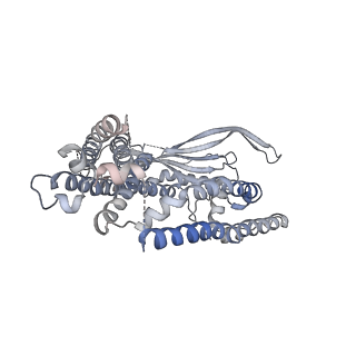 7020_6ayg_D_v1-5
Human Apo-TRPML3 channel at pH 4.8