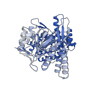 11950_7azp_A_v1-0
Structure of the human mitochondrial HSPD1 single ring