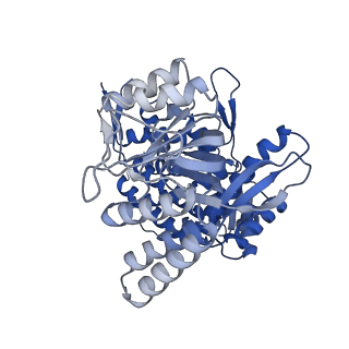 11950_7azp_B_v1-0
Structure of the human mitochondrial HSPD1 single ring