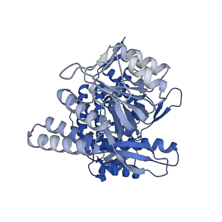 11950_7azp_C_v1-0
Structure of the human mitochondrial HSPD1 single ring