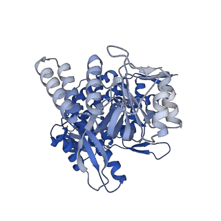 11950_7azp_D_v1-0
Structure of the human mitochondrial HSPD1 single ring