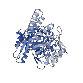 11950_7azp_E_v1-0
Structure of the human mitochondrial HSPD1 single ring