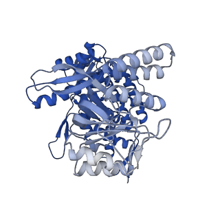 11950_7azp_F_v1-0
Structure of the human mitochondrial HSPD1 single ring