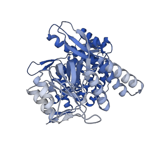 11950_7azp_G_v1-0
Structure of the human mitochondrial HSPD1 single ring
