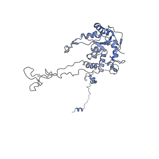 11951_7azy_p_v1-1
Context-specific inhibition of eukaryotic translation by macrolide antibiotics